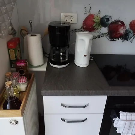 Apartma Julia 아파트 Spodnje Gorje