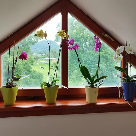 Apartma Julia Lejlighed Spodnje Gorje