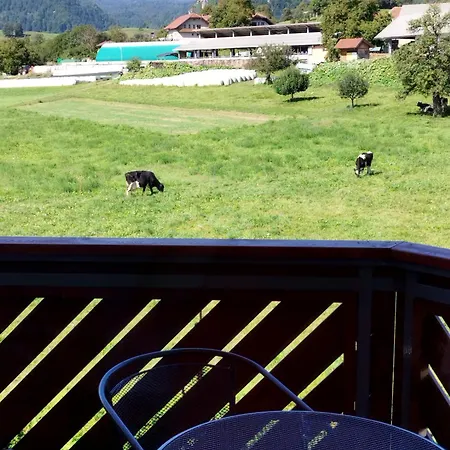 Apartma Julia Apartman