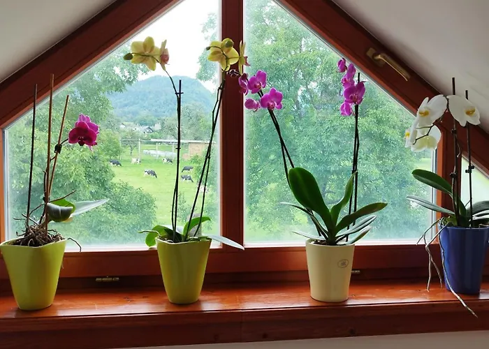 Apartma Julia Apartamento Spodnje Gorje